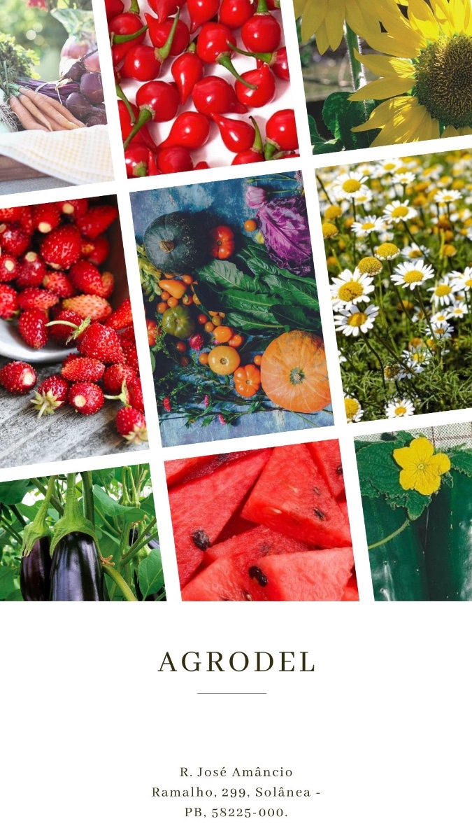 Produtos do campo: hortaliças, frutas e flores, com o endereço da Agrodel em Solânea PB